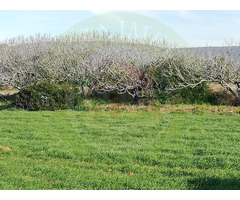 terrain 300 m² vue de mer en promotion - 3