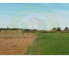 terrain 300 m² vue de mer en promotion - 11