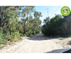 Terrain 150 m² à plage Kerkouen Kélibia En Promotion - 6