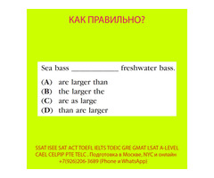 Курсы SSAT, ISEE, SAT, ACT, TOEFL, TOEIC преподаватель, репетитор из США - 2