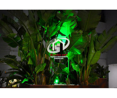 appartement s+2 neuf pour la location d’été - 2