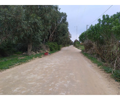 villa 1er position à kerkouane - 3