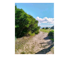 villa 1er position à kerkouane - 4