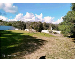 villa 1er position à kerkouane - 5