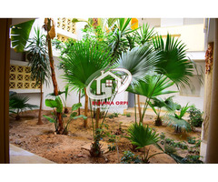 s+ 1 à louer rz dyar skiffa - 3