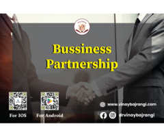 Online Business Partnership Analysis Report