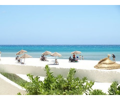 un terrain de 05 ha a 20 ha - 2