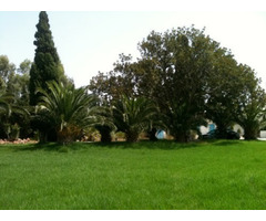 pour investis prés de kerkouane - 3