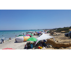 05 ha a 20 ha au cap bon - 3