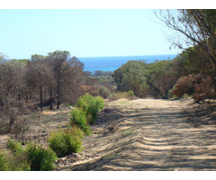 06 ha au cap bon - 3