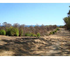 terrain pour investis prés de kerkouane - 3