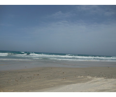 terrain magique de 06 ha - 2