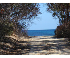 terrain de 05 ha a 20 ha collectif - 3