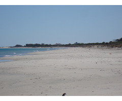 forsa a ne pas rater - 3