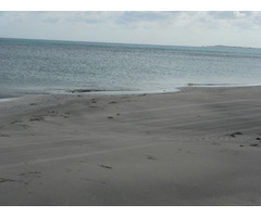 terrain de 60 000 mètre carré prés de dar allouche - 3