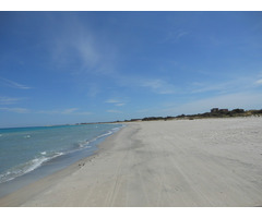 terrain de 06 ha - 2