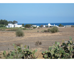 terrain a kelibia - 3