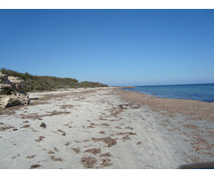 terrain entre kelibia elhaouria - 2