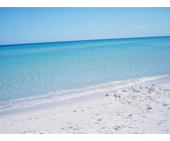 terrain entre kelibia et elhaouria - 3