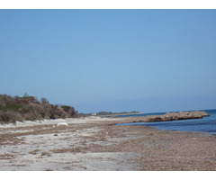 terrain prés de nabeul - 2