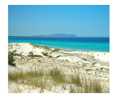 a cote de hammam jebli - 3