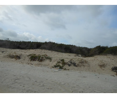 a cote de dar allouche et kerkouane - 2