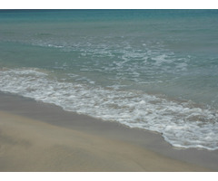 Occasion à ne pas rater 66 km de takelsa - 3