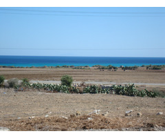 Terrain de 1000 m² près d’el haouria - 2