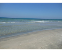 Terrain de 1000 m² près d’el haouria - 3