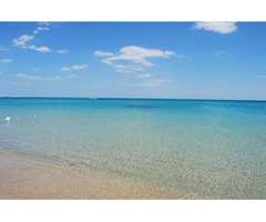 a cote de hammam jebli - 2