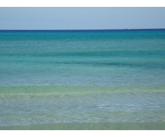 Pour Les investisseur terrain 45 km de Korba - 3